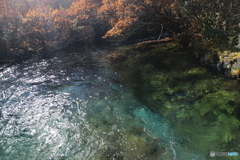 撮って出し(2025-11-04_10-07)-(Canon EOS 6D-28