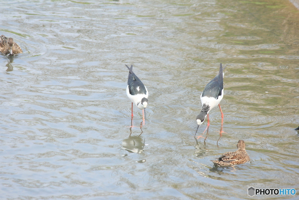撮って出し(2025-04-27_12-33)-(Canon EOS 60D-2