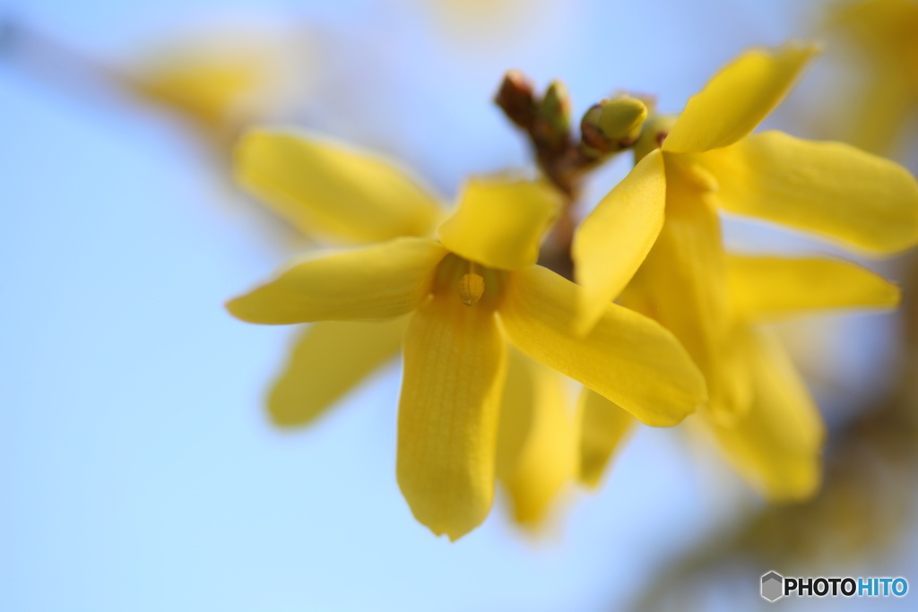 撮って出し(2025-04-05_06-55)-(Canon EOS 6D-90