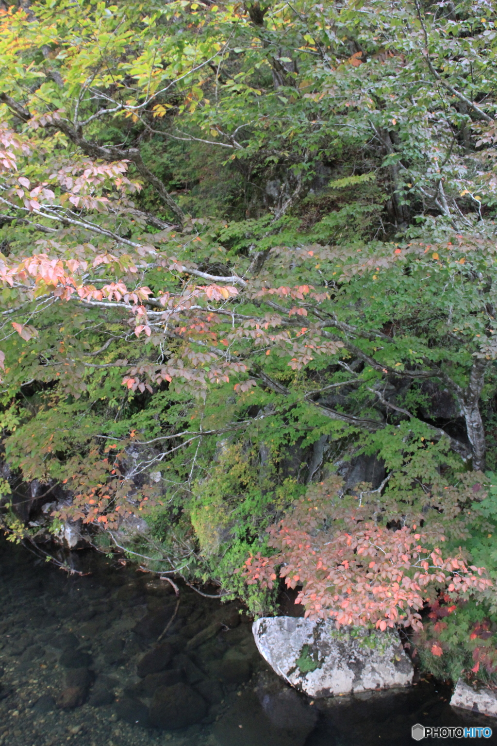 撮って出し(2025-10-18_11-53)-(Canon EOS 60D-2