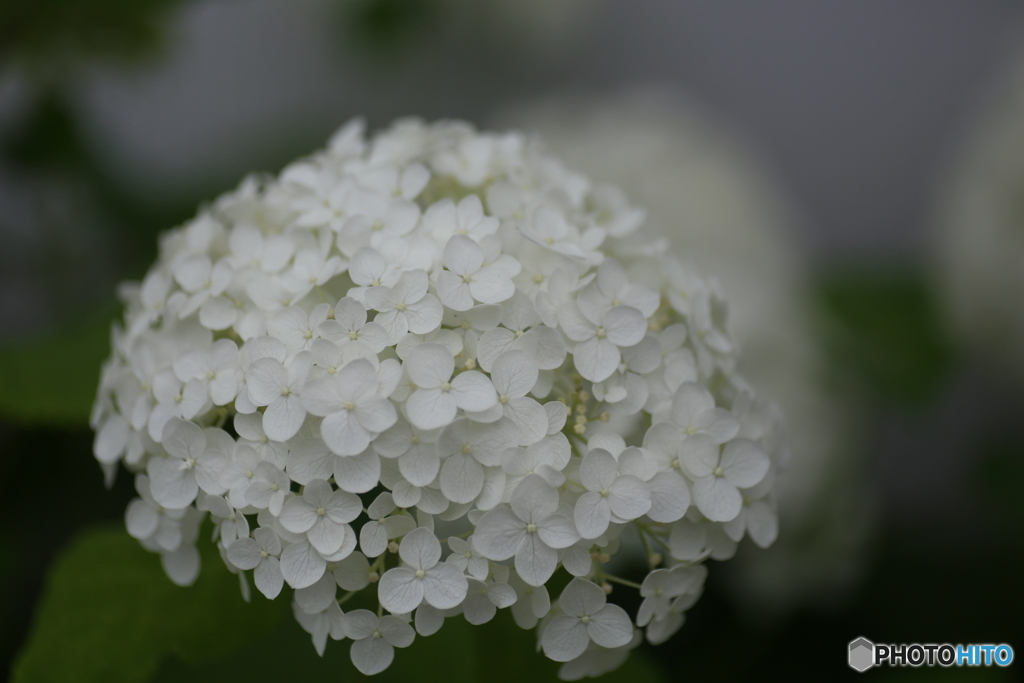 撮って出し(2025-06-30_16-16)-(Canon EOS 6D-90
