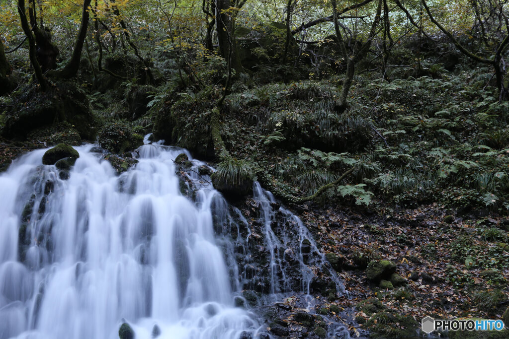 撮って出し(2025-11-04_07-10)-(Canon EOS 6D-28