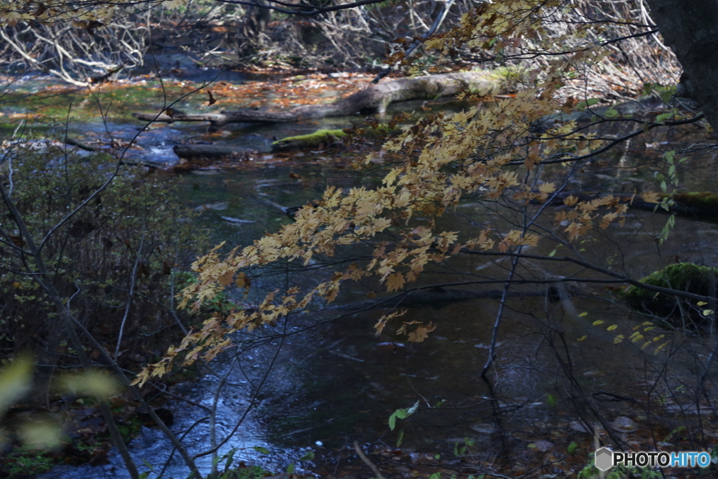 撮って出し(2025-11-04_09-28)-(Canon EOS 6D-13