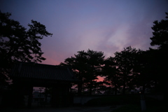 撮って出し(2024-07-16_04-15)-(Canon EOS 6D-0(