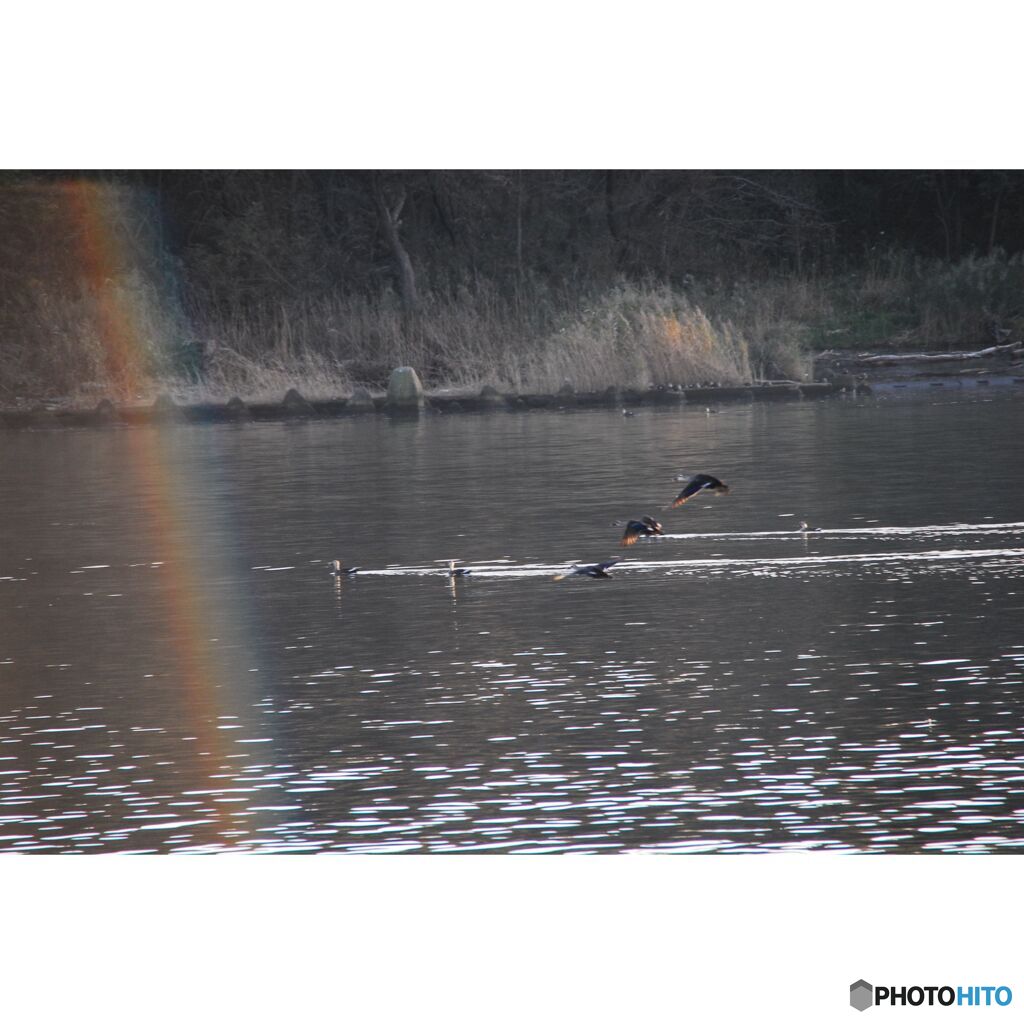 撮って出し(2023-07-06_03-06)--250_1