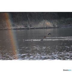 撮って出し(2023-07-06_03-06)--250_1