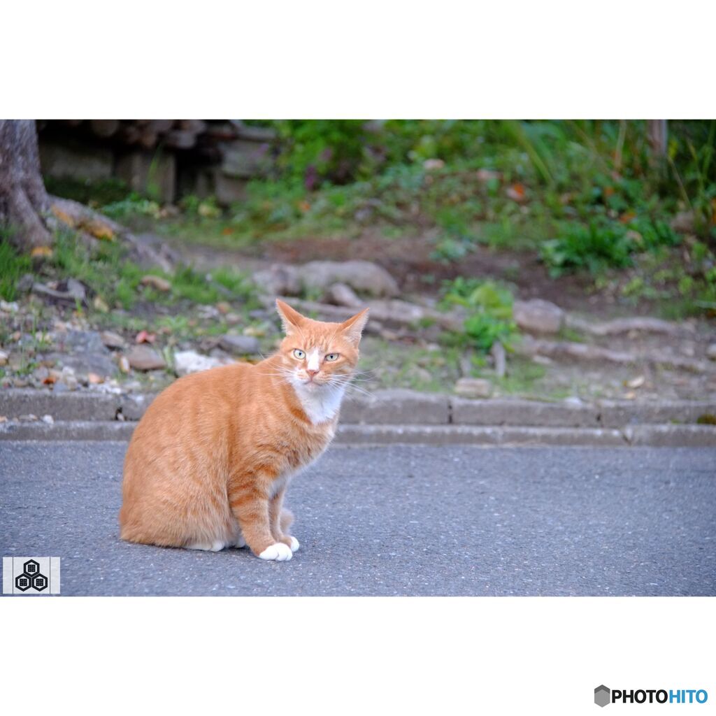 撮って出し(2023-10-13_16-53)-50--X-E1_1