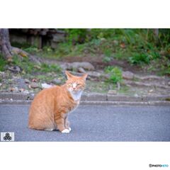 撮って出し(2023-10-13_16-53)-50--X-E1_1