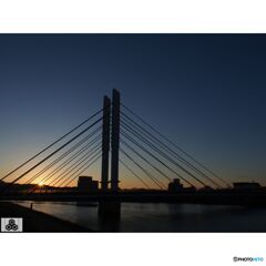 撮って出し(2023-11-16_06-38)-14-OLYMPUS M.14-