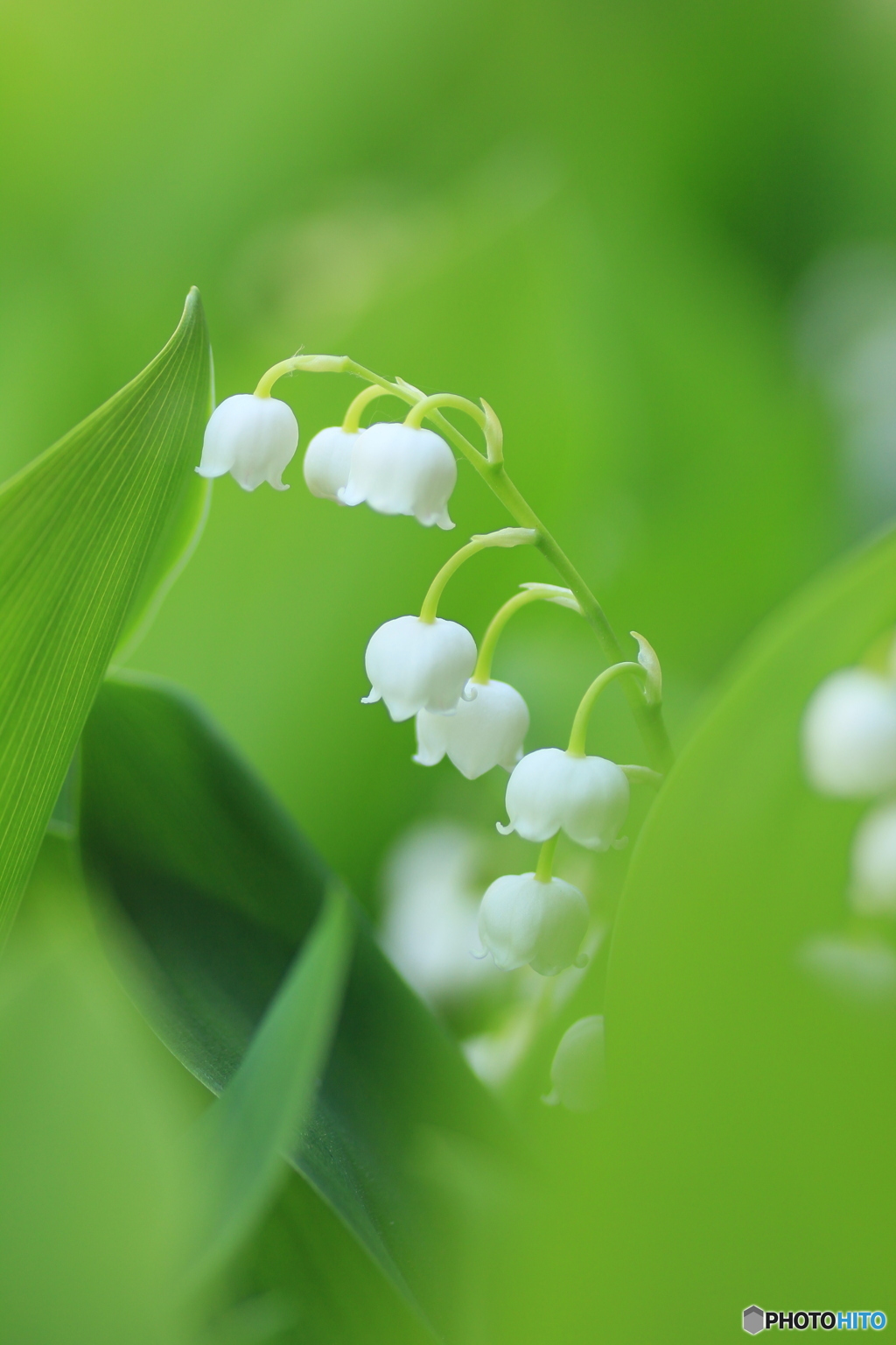 撮って出し-Canon EOS 60D-90.0-23_05_18-5