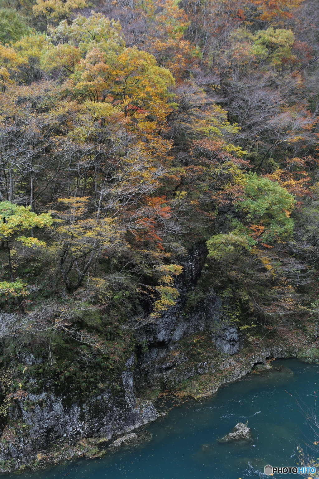 撮って出し(2025-11-07_12-29)-(Canon EOS 6D-38
