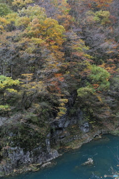 撮って出し(2025-11-07_12-29)-(Canon EOS 6D-38