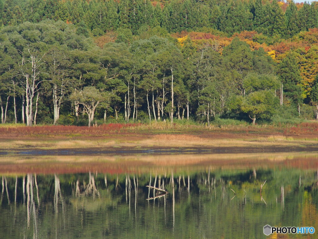 撮って出し-E-M5-150.0-22_10_30-0