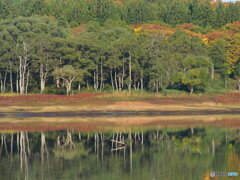 撮って出し-E-M5-150.0-22_10_30-0