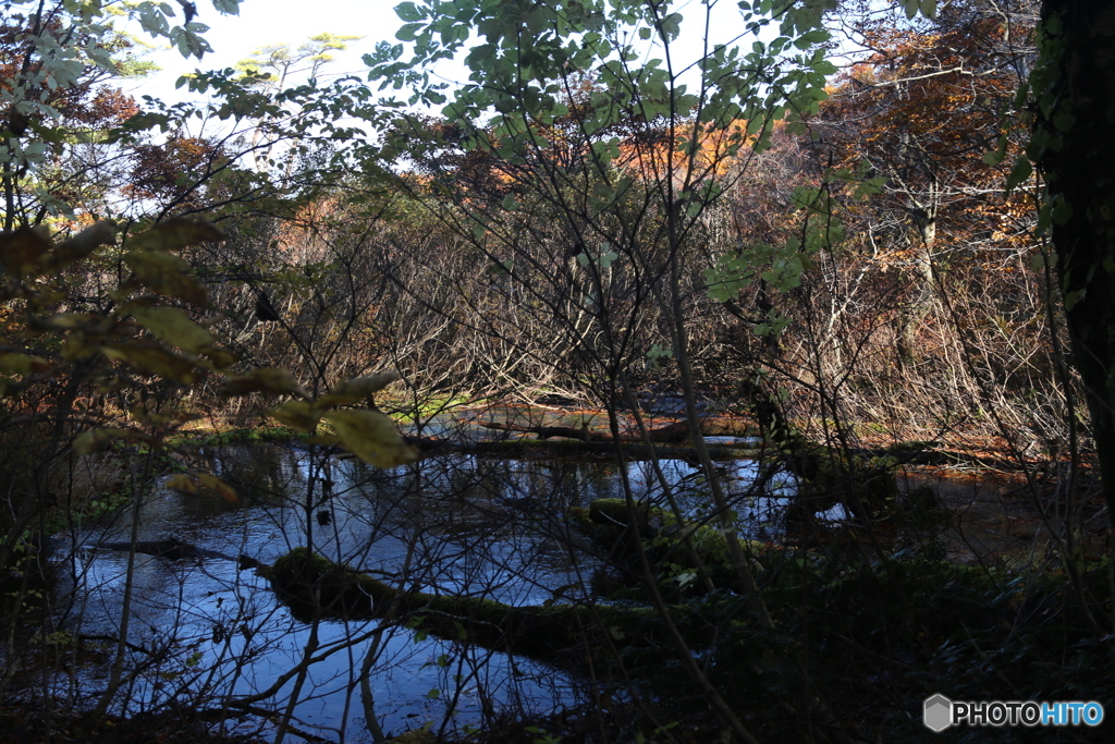 撮って出し(2025-11-04_09-26)-(Canon EOS 6D-47