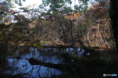 撮って出し(2025-11-04_09-26)-(Canon EOS 6D-47