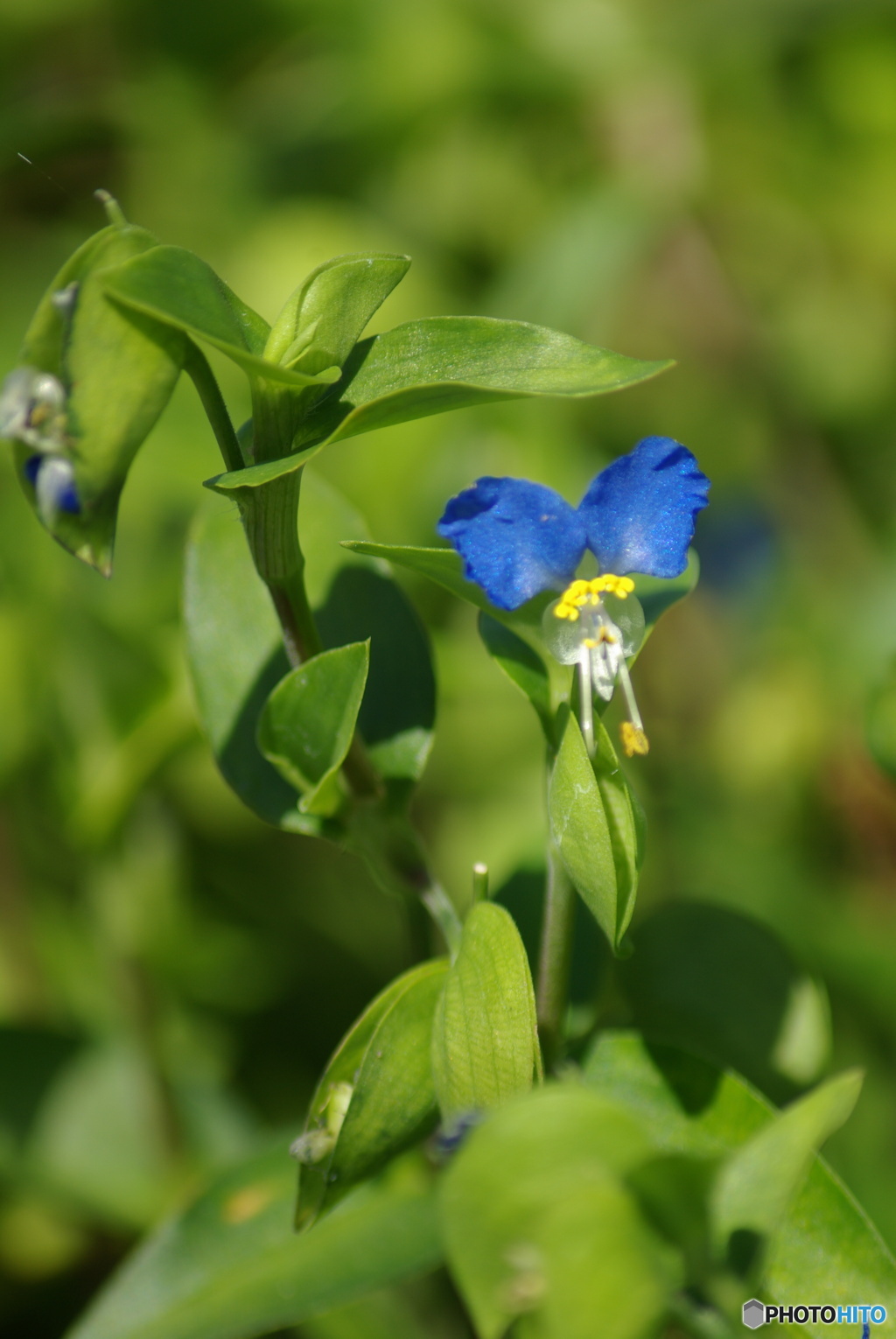 撮って出し(2025-09-28_10-01)-(PENTAX K10D-300