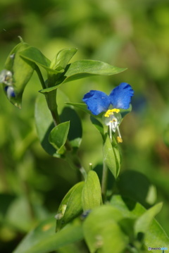 撮って出し(2025-09-28_10-01)-(PENTAX K10D-300 撮って出し(2025-09-28_10-01)-(PENTAX K10D-300