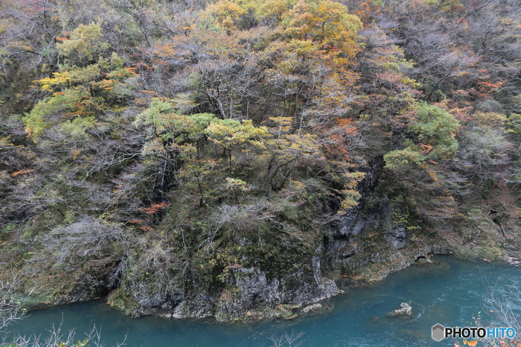 撮って出し(2025-11-07_12-29)-(Canon EOS 6D-28