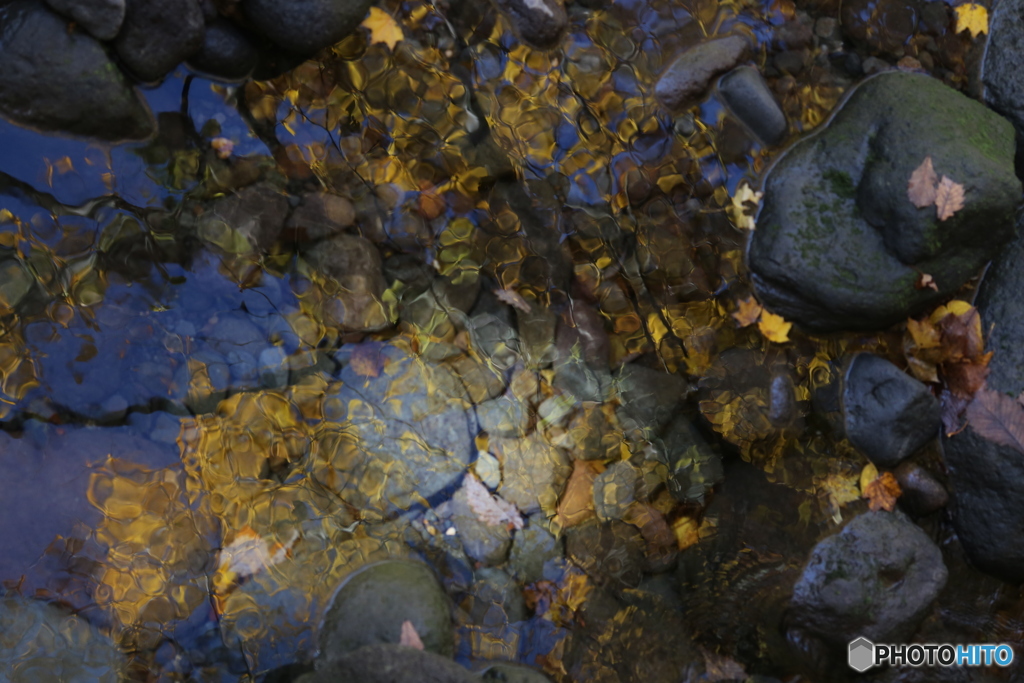 撮って出し(2025-11-04_10-54)-(Canon EOS 6D-12