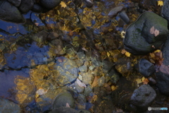 撮って出し(2025-11-04_10-54)-(Canon EOS 6D-12