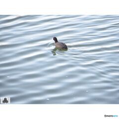 撮って出し(2023-11-16_06-36)-90--Canon PowerS