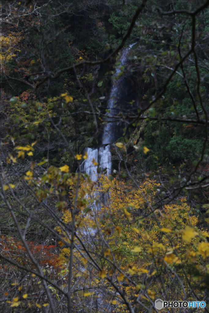 撮って出し(2025-11-07_13-21)-(Canon EOS 6D-13