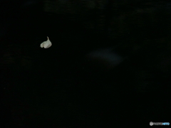 撮って出し-E-M5-150.0-23_06_25-2