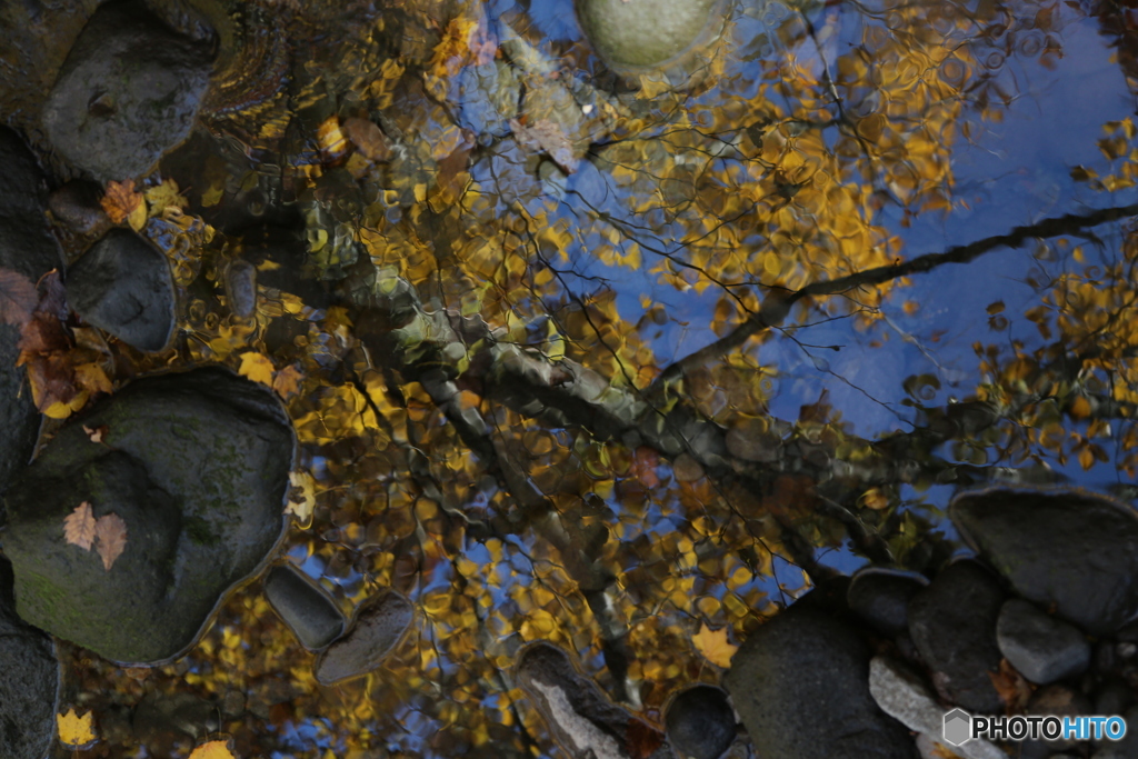 撮って出し(2025-11-04_10-55)-(Canon EOS 6D-11