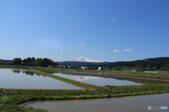 撮って出し-Canon EOS 60D-18.0-23_05_12-0