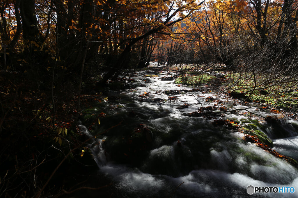 撮って出し(2025-11-04_10-18)-(Canon EOS 6D-24