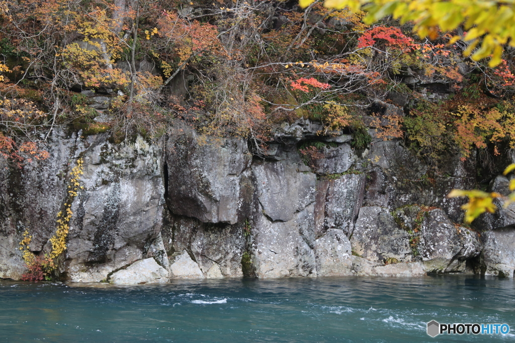 撮って出し(2025-11-04_12-59)-(Canon EOS 6D-10