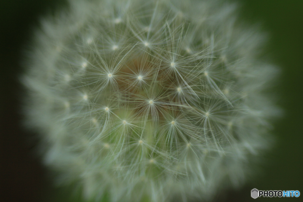 撮って出し(2024-05-04_14-10)-(Canon EOS 60D-9