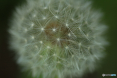 撮って出し(2024-05-04_14-10)-(Canon EOS 60D-9