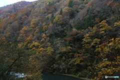 撮って出し(2025-11-07_13-37)-(Canon EOS 6D-30