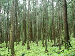 撮って出し-E-M5-14.0-23_05_08-2