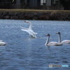 撮って出し(2024-12-09_06-59)-(Canon EOS 60D-2