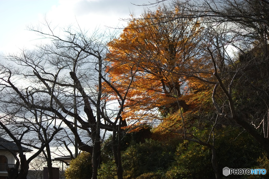DSCF0179