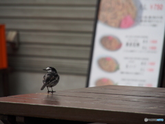 撮って出し(2024-03-05_10-37)-(E-M5-150(OLYMPU