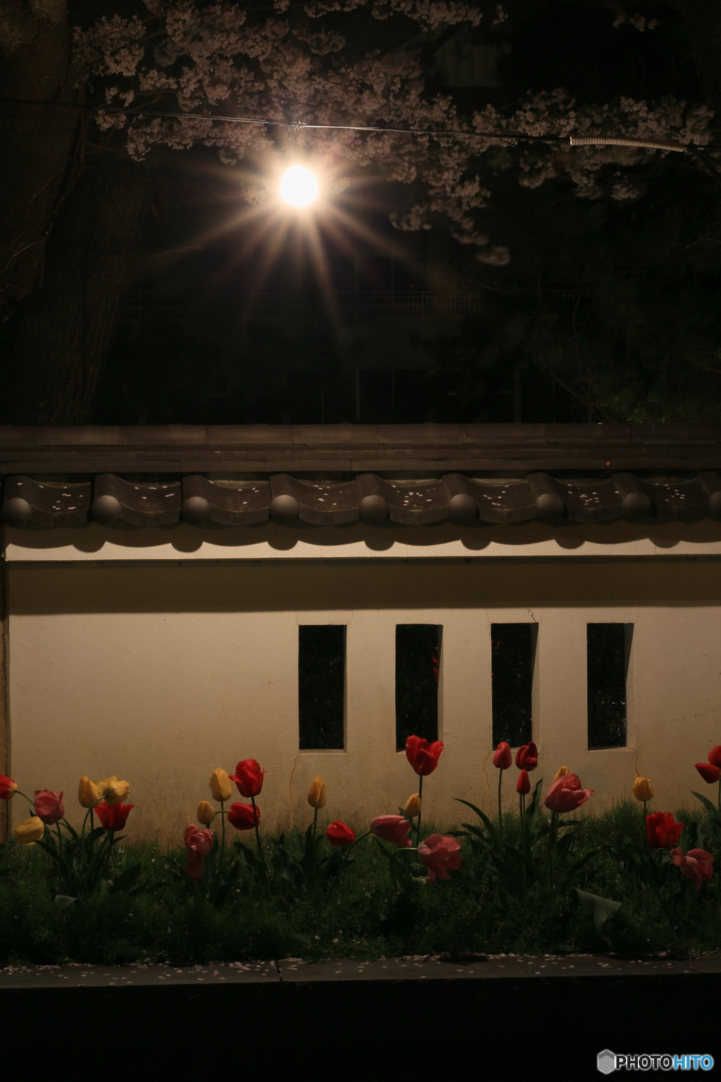 撮って出し-Canon EOS 6D-90.0-41_04_12-0