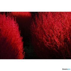 撮って出し(2023-07-06_02-36)--50