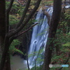 撮って出し(2024-10-30_09-56)-(E-M5-22(OLYMPUS