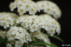 撮って出し(2024-05-12_10-02)-(Canon EOS 60D-2