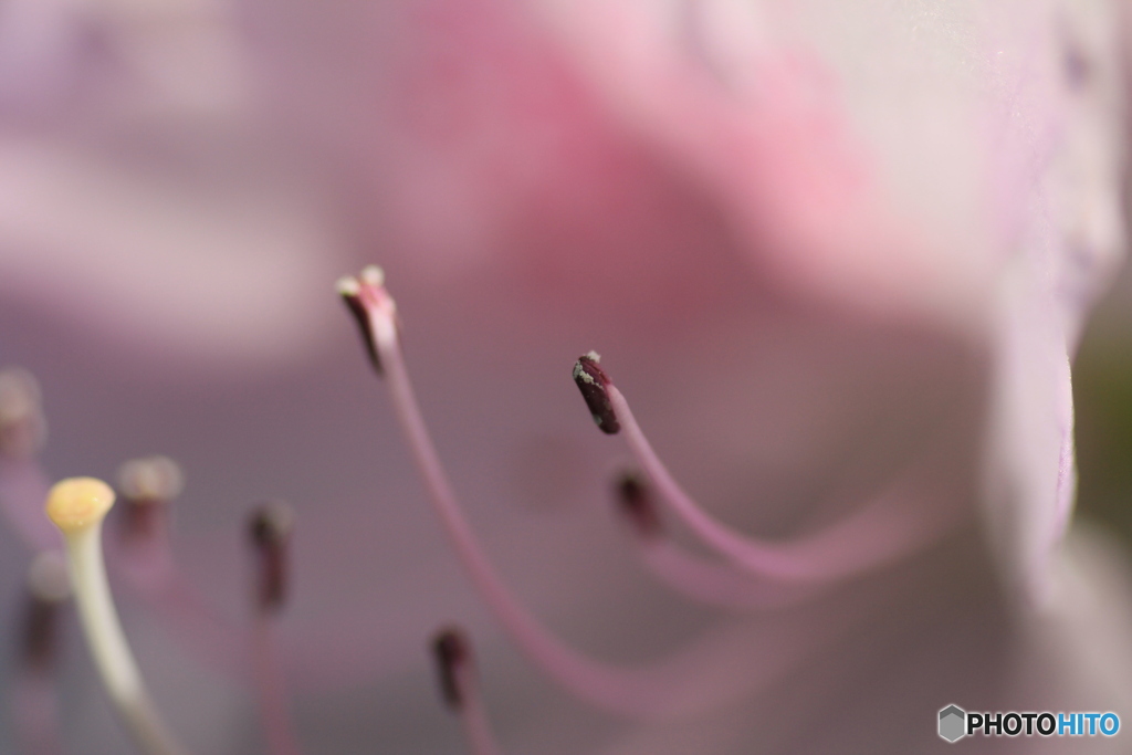 撮って出し(2024-05-04_13-54)-(Canon EOS 60D-9