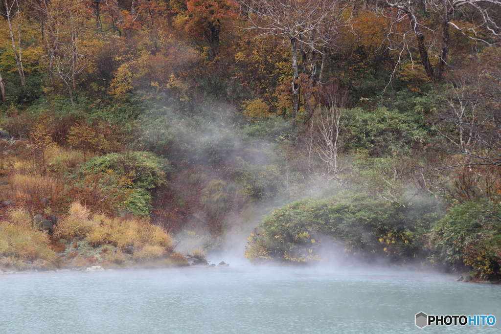 撮って出し(2025-10-27_10-33)-(Canon EOS 6D-13