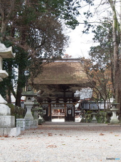 撮って出し(2024-03-06_13-51)-(E-M5-39(OLYMPUS