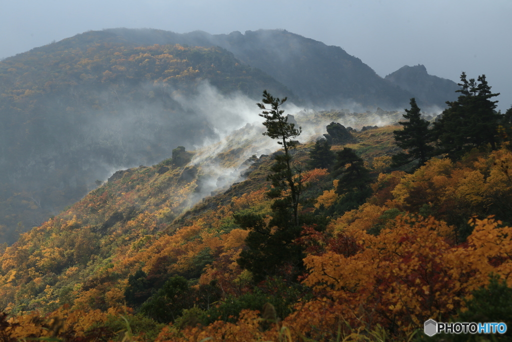 撮って出し-Canon EOS 6D-135.0-23_10_16_IMG_65