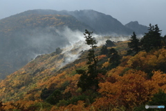 撮って出し-Canon EOS 6D-135.0-23_10_16_IMG_65