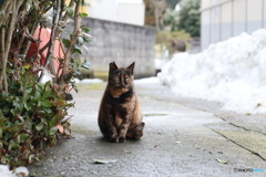 撮って出し-Canon EOS 6D-90.0-41_02_18-5