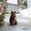 撮って出し-Canon EOS 6D-90.0-41_02_18-5